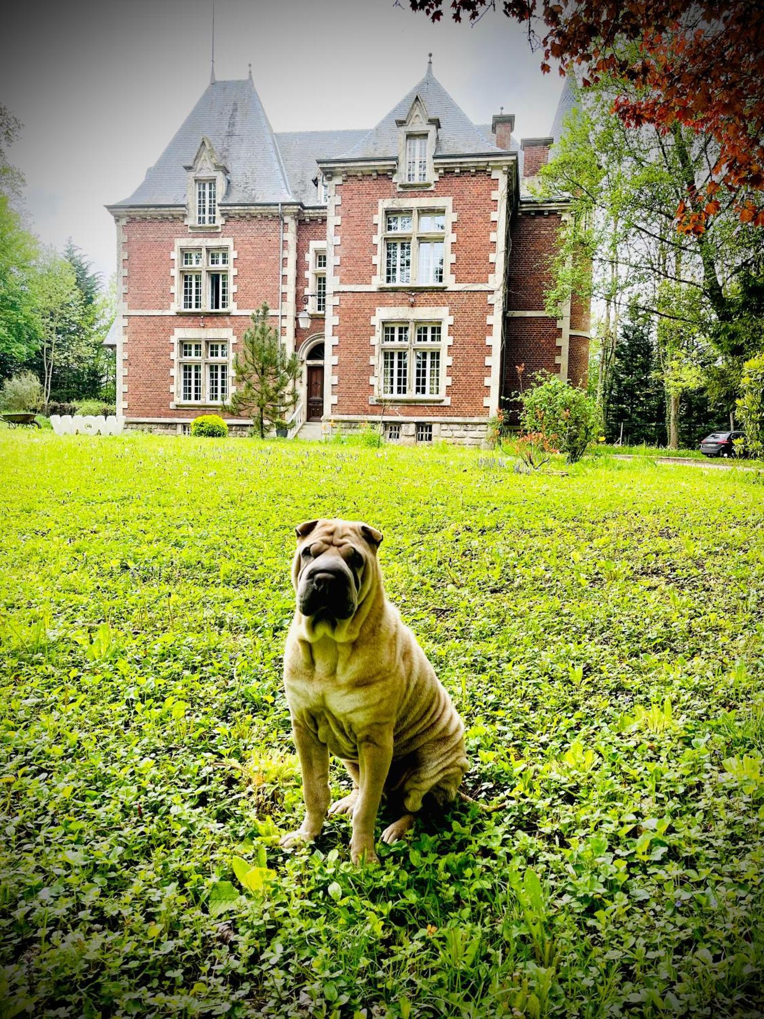 Poix-Terron Domaine De La Croix De Saint Lambert Bed & Breakfast エクステリア 写真